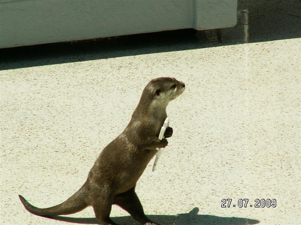 pict0140.jpg