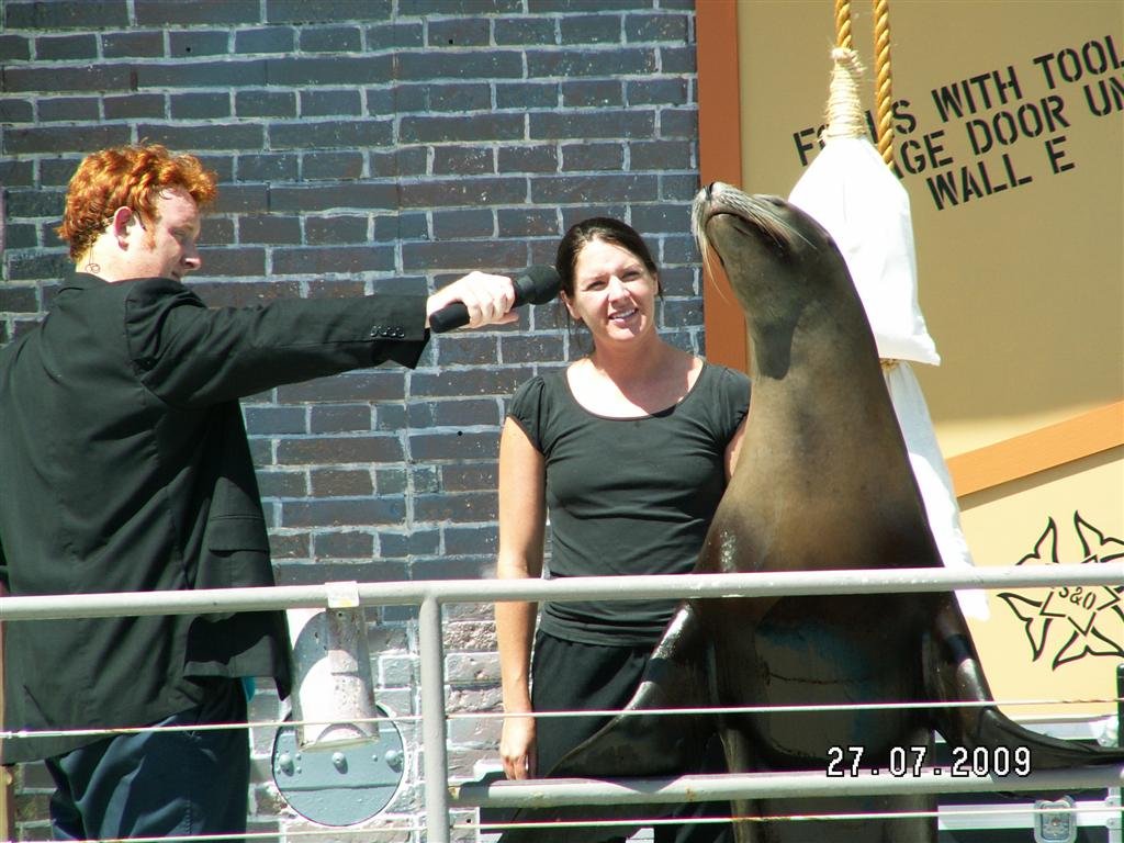 pict0141.jpg
