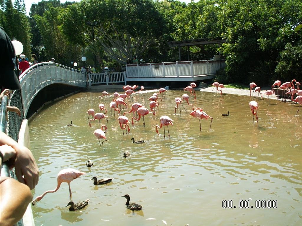 pict0155.jpg