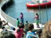 pict0156_small.jpg