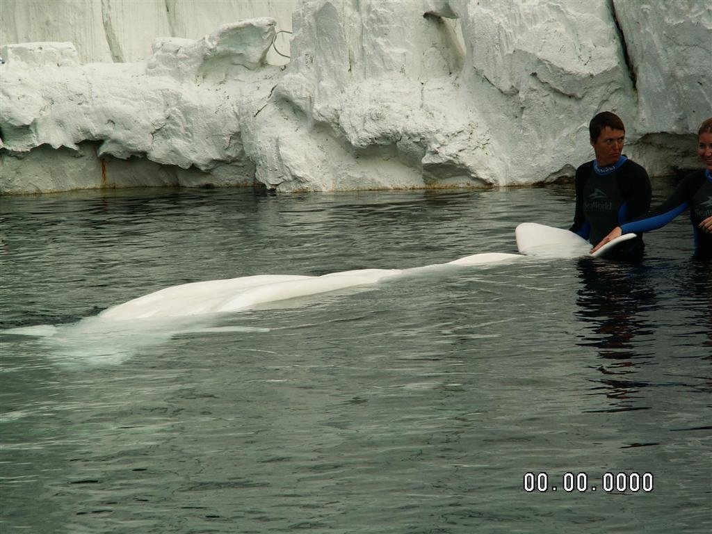 pict0185.jpg