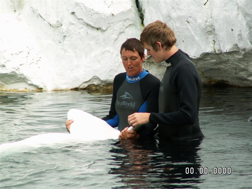 pict0187.jpg