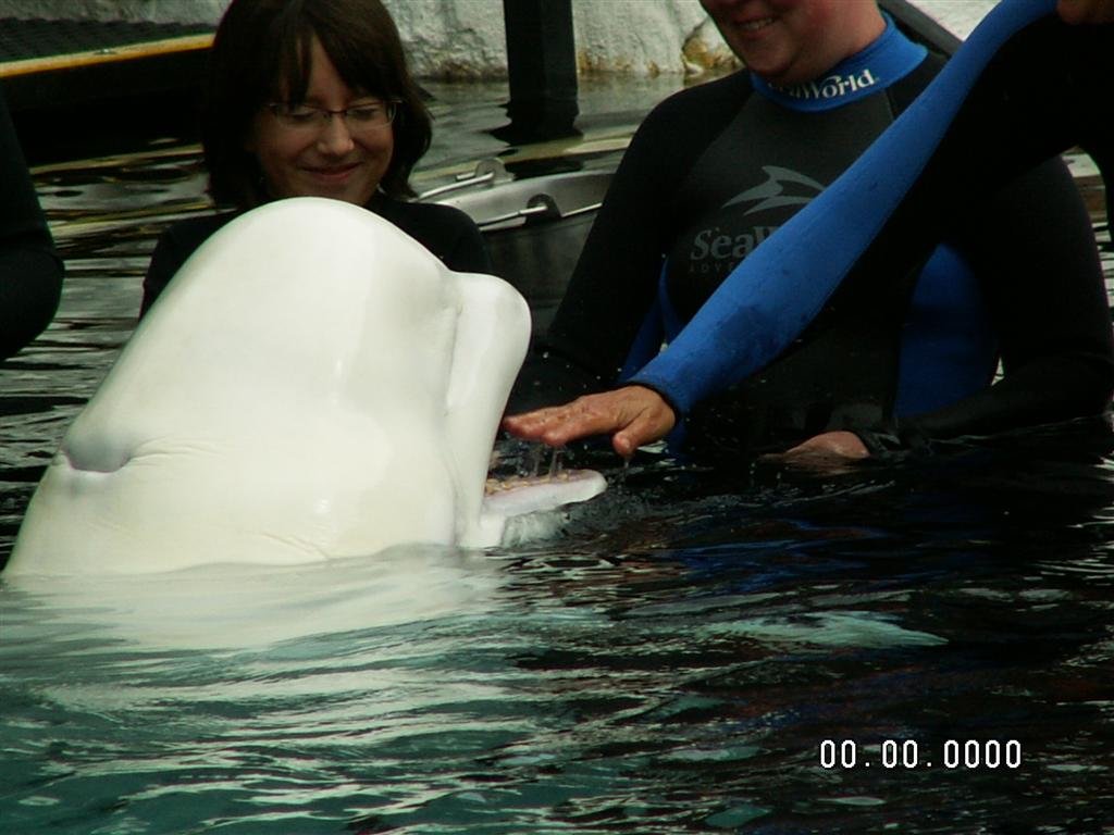 pict0189.jpg