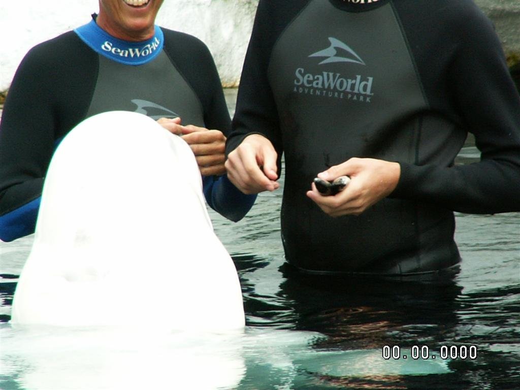 pict0190.jpg