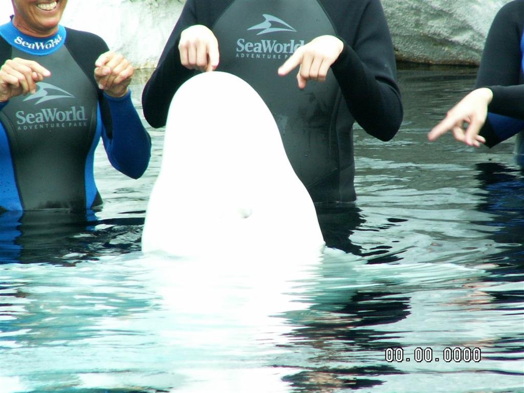 pict0193.jpg