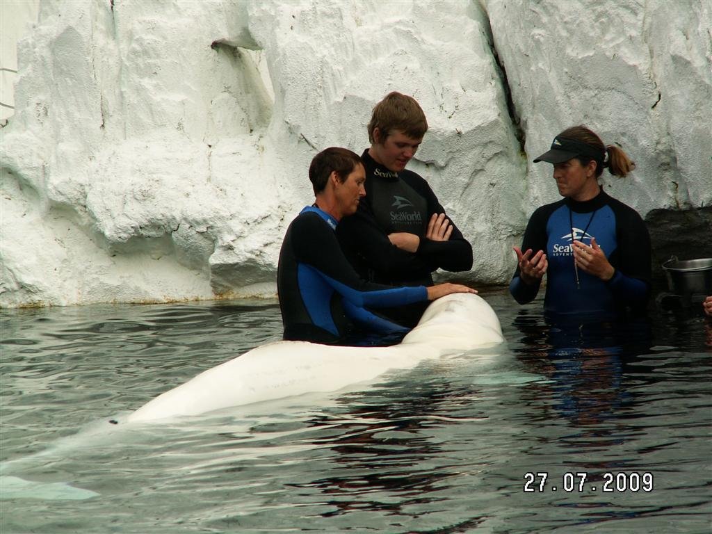 pict0198.jpg