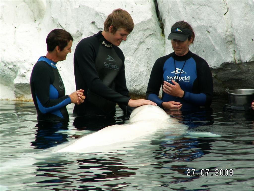 pict0200.jpg
