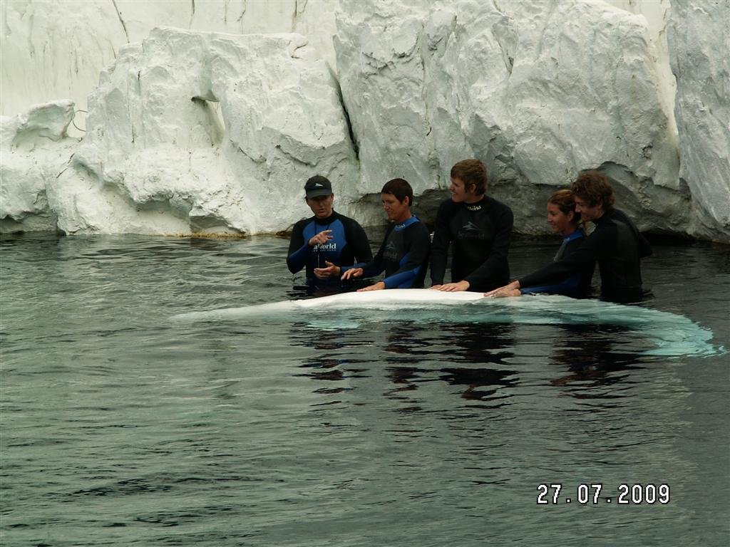 pict0213.jpg