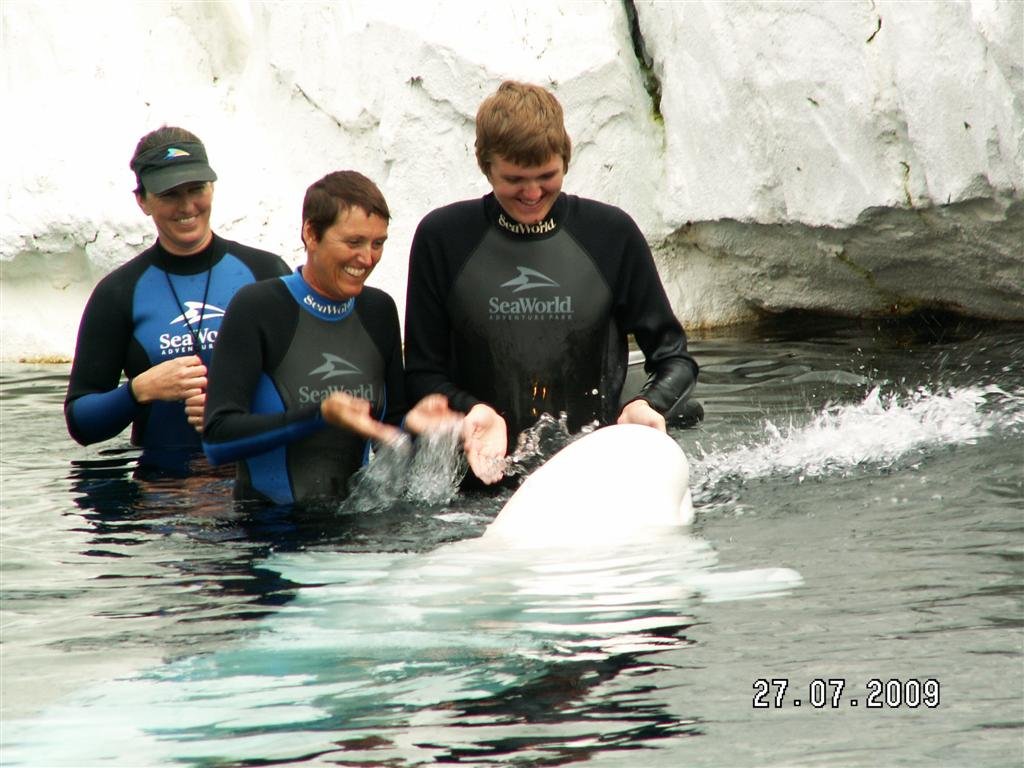 pict0221.jpg