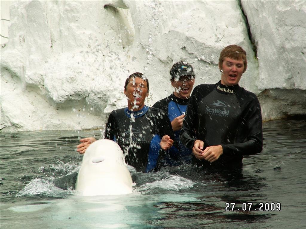 pict0223.jpg