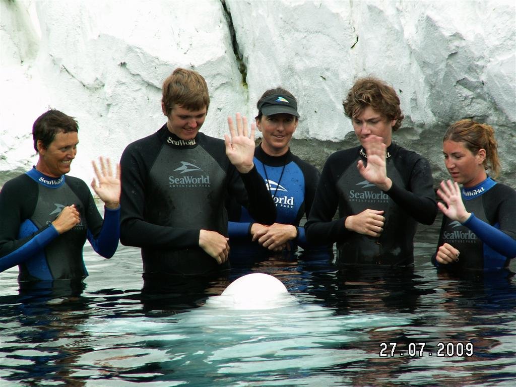 pict0225.jpg