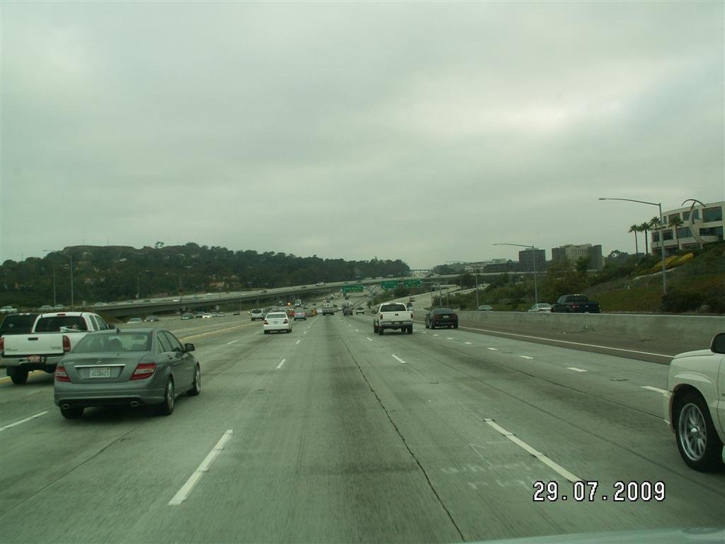 pict1339.jpg