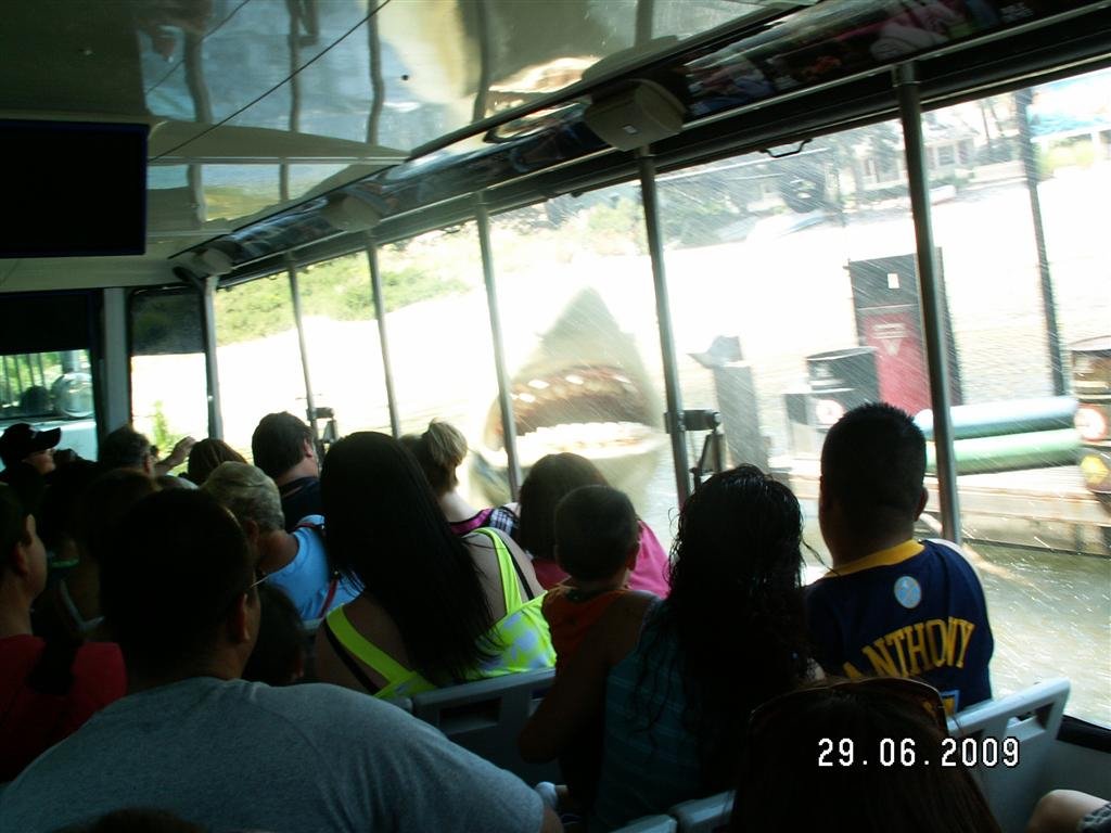 pict0056.jpg