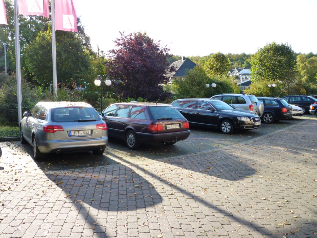 p1000169.jpg
