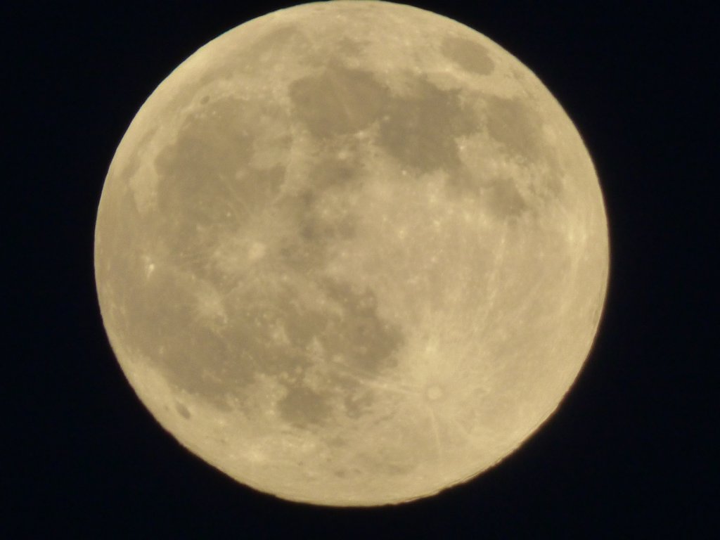 photo61.jpg